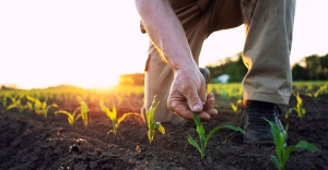 Top Benefits of Being an Agricultural Land Owner Top Benefits of Being an Agricultural Land Owner